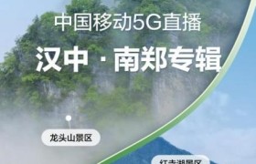 【心级服务 让爱连接】用数字技术激活文旅资源 赓续文化传承