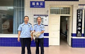 城固县原公派出所救助一只“国宝朱鹮”