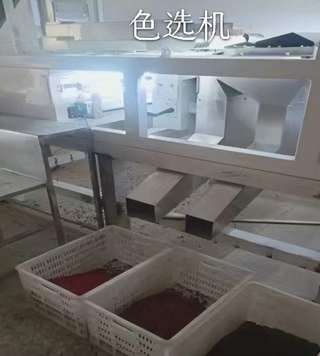 佛坪山茱萸的六十年