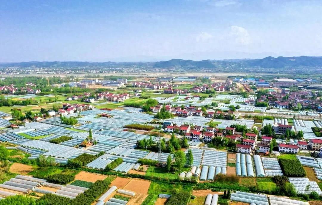 汉台：多措并举推动高质量发展成效显著