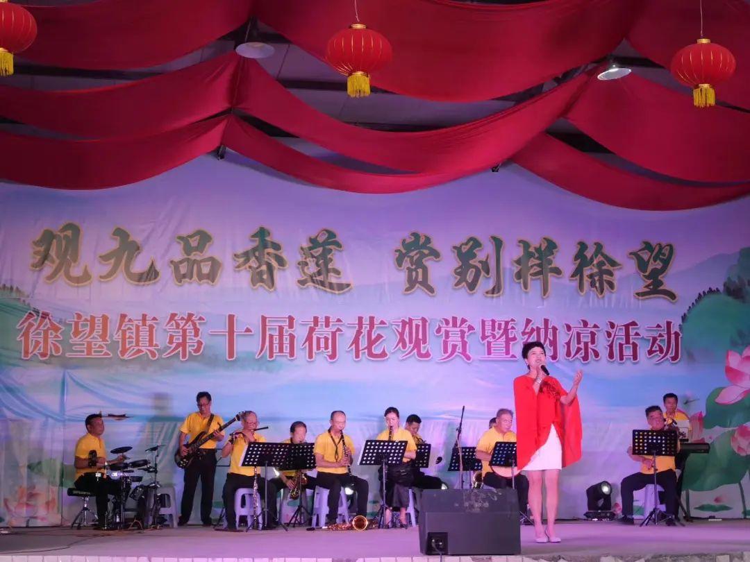 徐望镇举行第十届荷花观赏暨纳凉活动
