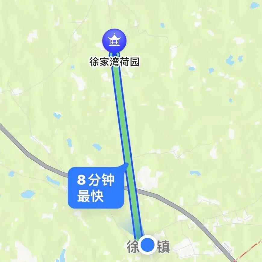 徐望镇举行第十届荷花观赏暨纳凉活动