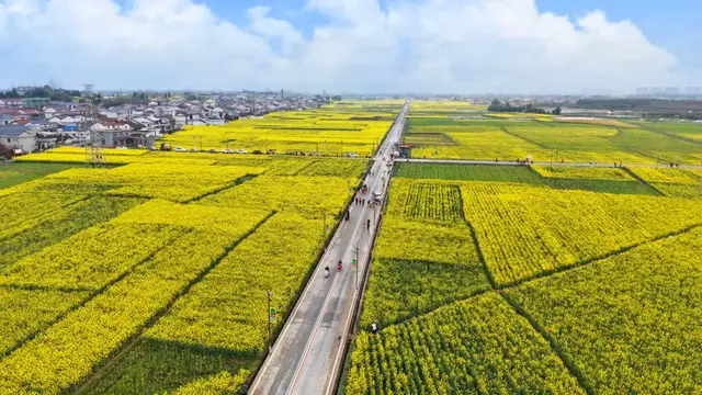 皇塘水乡：从千年水利陂塘，蝶变3A级文旅新地标
