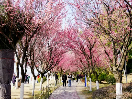 汉台:春节假期文旅活动丰富多彩 “热力值”拉满