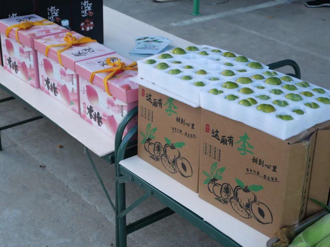 徐望镇举行第十届荷花观赏暨纳凉活动