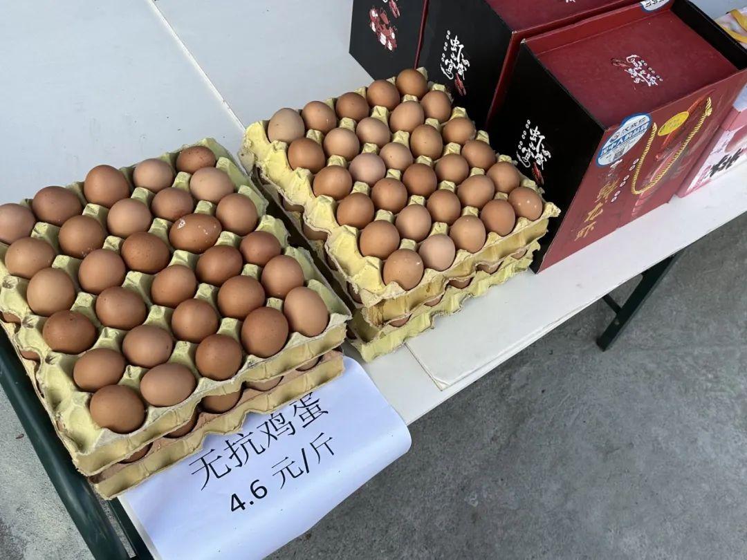 徐望镇举行第十届荷花观赏暨纳凉活动