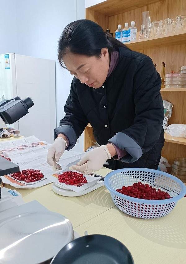 佛坪山茱萸的六十年
