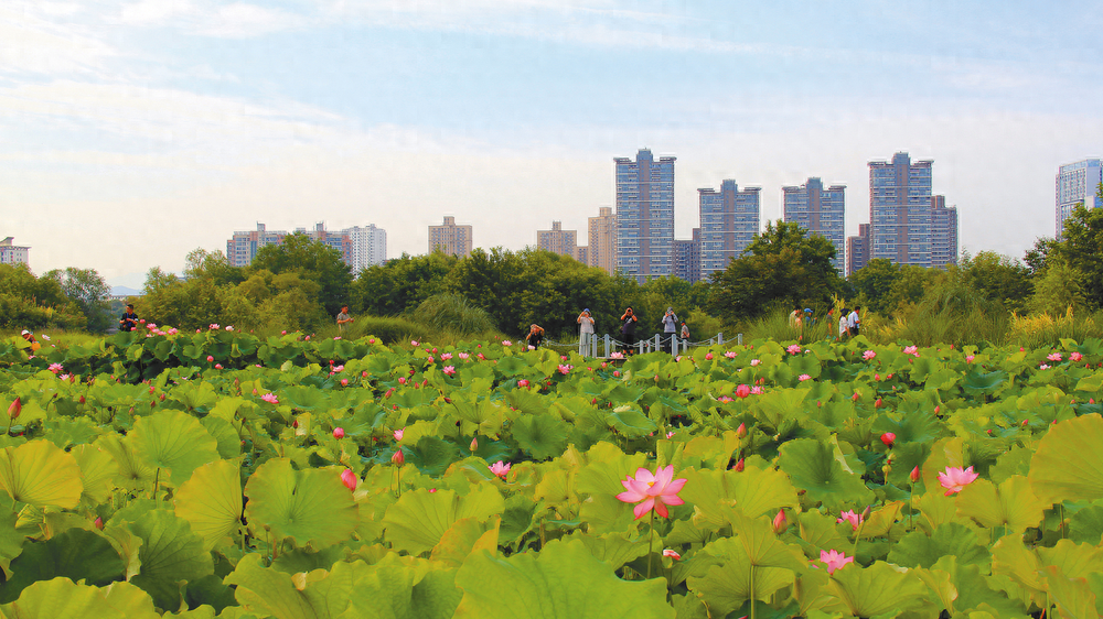 守护生态文明 建设美丽家园——汉台区2024年上半年扎实开展生态环境保护工作综述