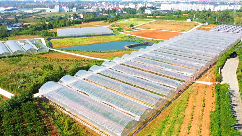 汉中汉台:扎实学习运用“千万工程”经验,推动乡村全面振兴