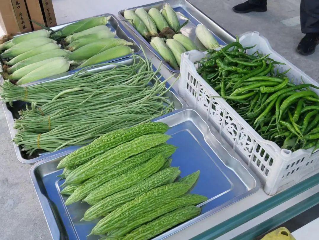 徐望镇举行第十届荷花观赏暨纳凉活动